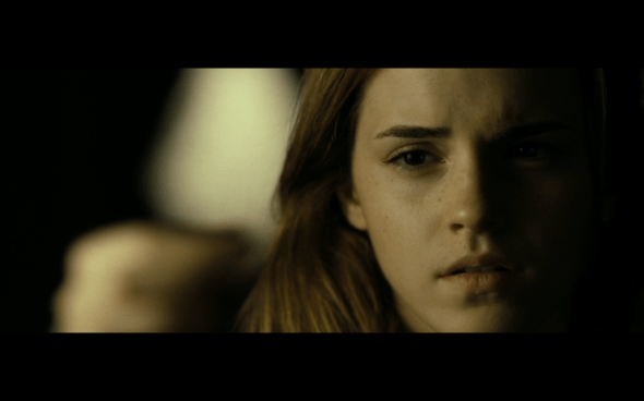 Harry Potter and the Deathly Hallows Part 2 - 52