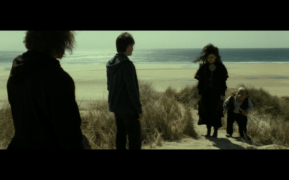 Harry Potter and the Deathly Hallows Part 2 - 56