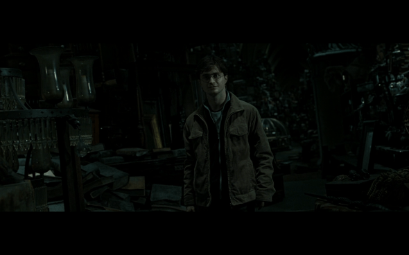 Harry Potter and the Deathly Hallows Part 2 - 560