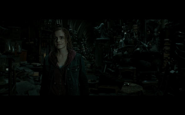 Harry Potter and the Deathly Hallows Part 2 - 579