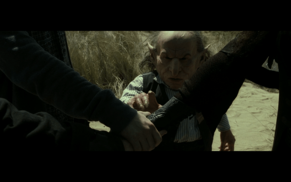 Harry Potter and the Deathly Hallows Part 2 - 58