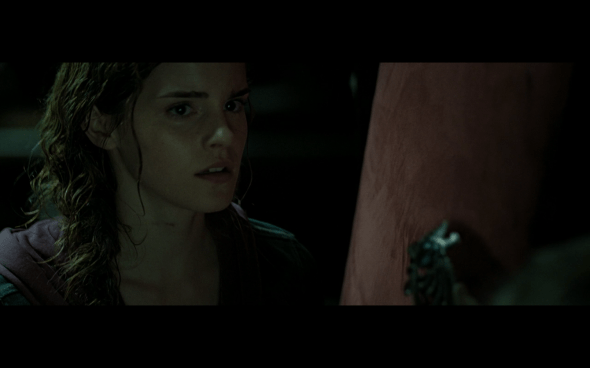 Harry Potter and the Deathly Hallows Part 2 - 586