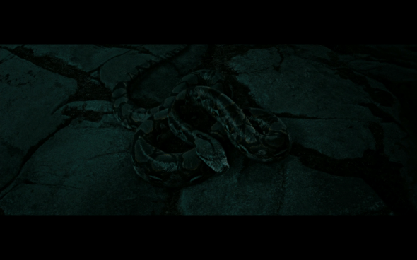 Harry Potter and the Deathly Hallows Part 2 - 648