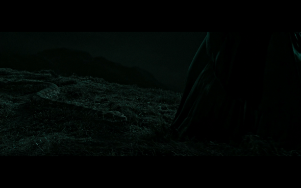 Harry Potter and the Deathly Hallows Part 2 - 652