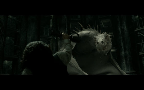 Harry Potter and the Deathly Hallows Part 2 - 90