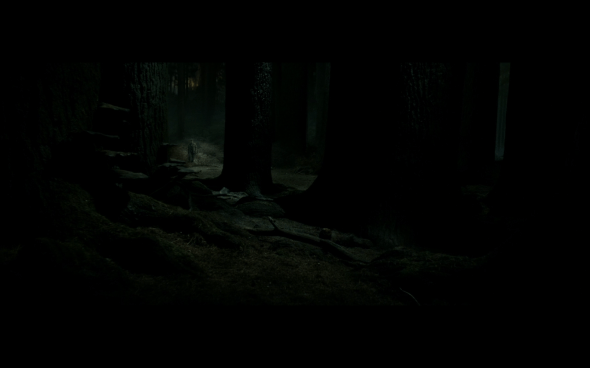 Harry Potter and the Deathly Hallows Part 2 - 906