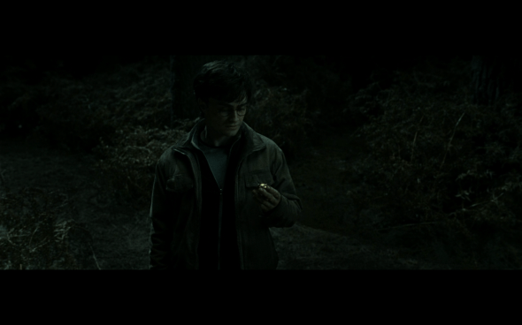 Harry Potter and the Deathly Hallows Part 2 - 907