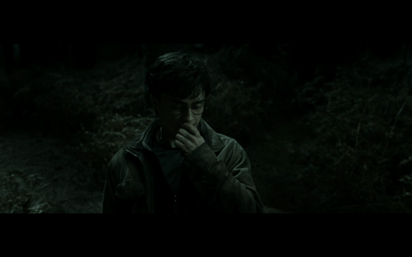 Harry Potter and the Deathly Hallows Part 2 - 910