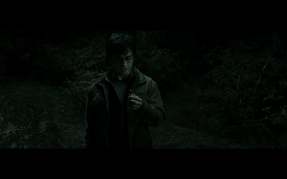 Harry Potter and the Deathly Hallows Part 2 - 914