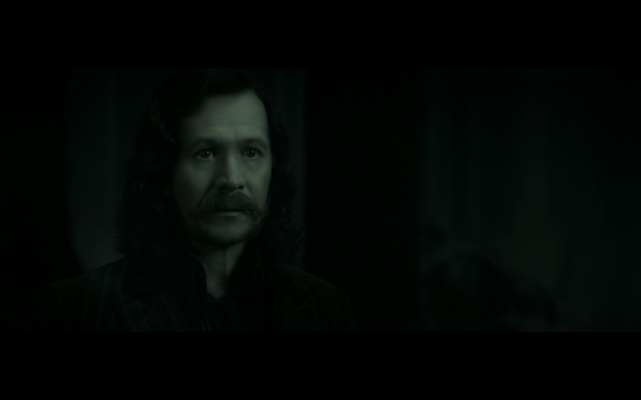 Harry Potter and the Deathly Hallows Part 2 - 925