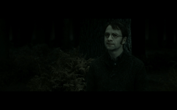 Harry Potter and the Deathly Hallows Part 2 - 926