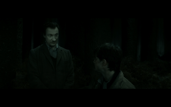 Harry Potter and the Deathly Hallows Part 2 - 928