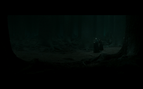 Harry Potter and the Deathly Hallows Part 2 - 940