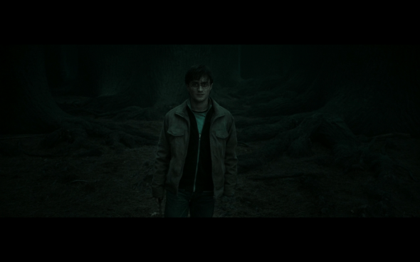 Harry Potter and the Deathly Hallows Part 2 - 950