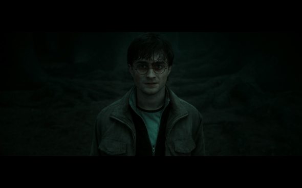 Harry Potter and the Deathly Hallows Part 2 - 955