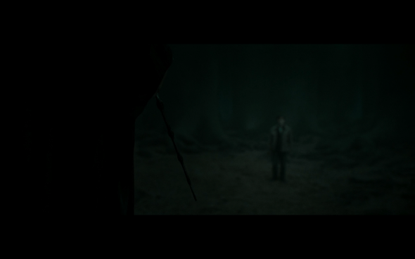 Harry Potter and the Deathly Hallows Part 2 - 958