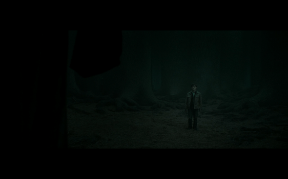 Harry Potter and the Deathly Hallows Part 2 - 959