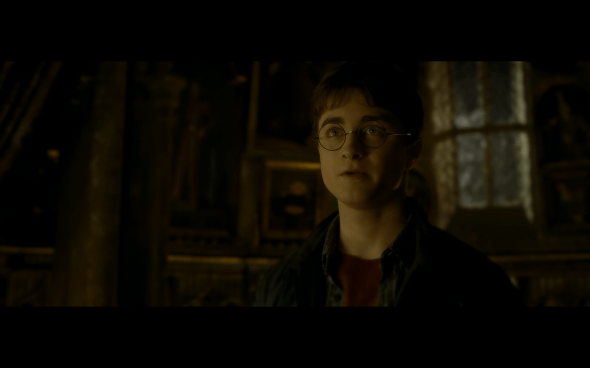 Harry Potter and the Half-Blood Prince - 1011