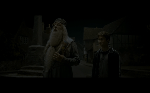 Harry Potter and the Half-Blood Prince - 105