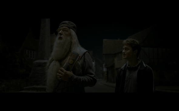 Harry Potter and the Half-Blood Prince - 106