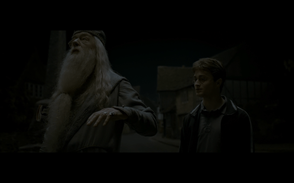 Harry Potter and the Half-Blood Prince - 107