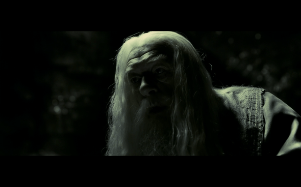 Harry Potter and the Half-Blood Prince - 1074