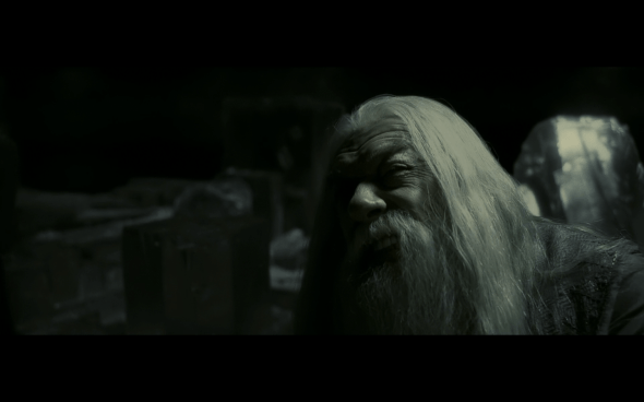 Harry Potter and the Half-Blood Prince - 1082