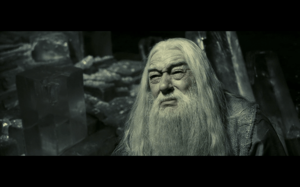 Harry Potter and the Half-Blood Prince - 1088