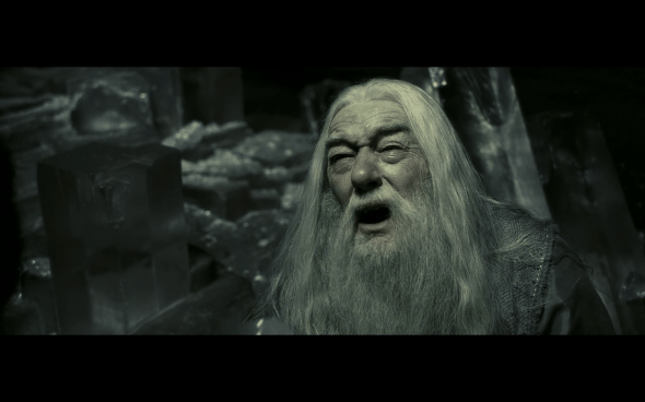 Harry Potter and the Half-Blood Prince - 1089