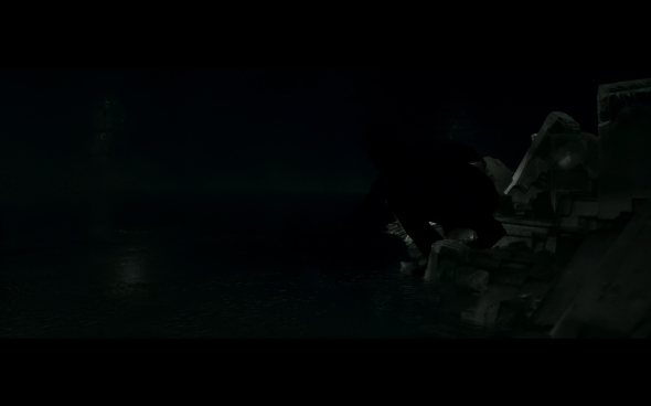 Harry Potter and the Half-Blood Prince - 1106