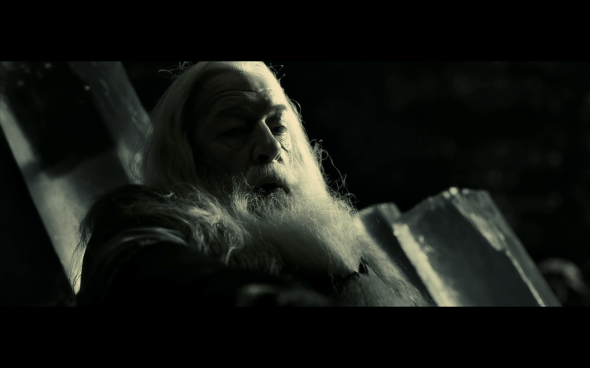 Harry Potter and the Half-Blood Prince - 1116