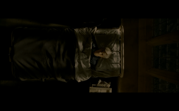 Harry Potter and the Half-Blood Prince - 1142