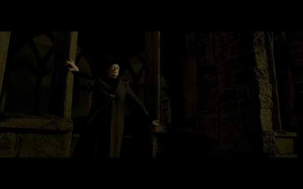 Harry Potter and the Half-Blood Prince - 1148