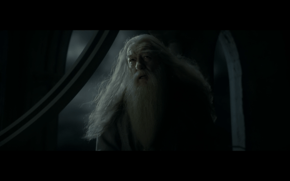 Harry Potter and the Half-Blood Prince - 1161