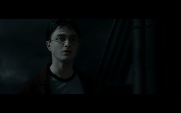 Harry Potter and the Half-Blood Prince - 1162
