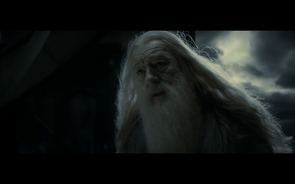 Harry Potter and the Half-Blood Prince - 1181