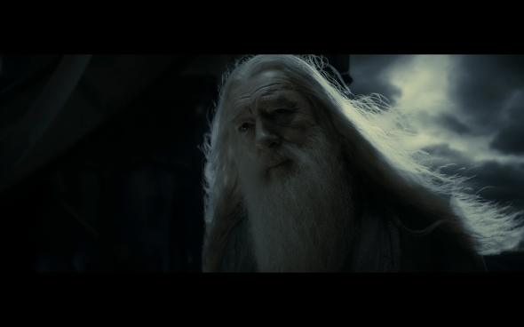 Harry Potter and the Half-Blood Prince - 1183