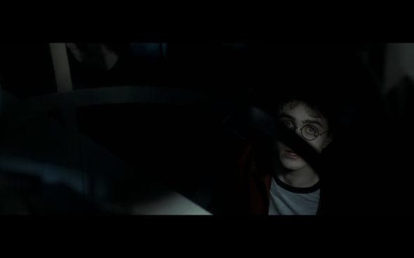 Harry Potter and the Half-Blood Prince - 1202