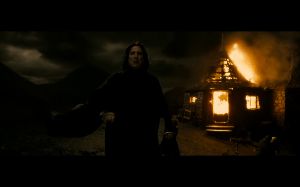 Harry Potter and the Half-Blood Prince - 1246