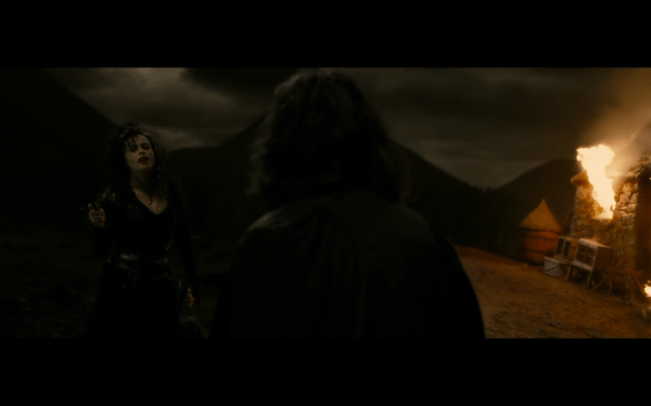 Harry Potter and the Half-Blood Prince - 1251