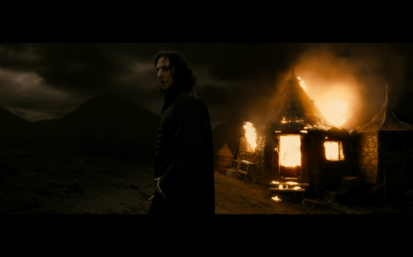 Harry Potter and the Half-Blood Prince - 1253