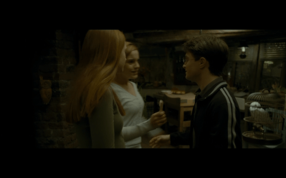 Harry Potter and the Half-Blood Prince - 128