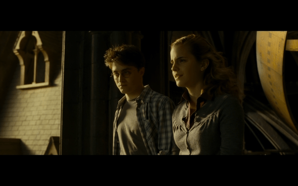 Harry Potter and the Half-Blood Prince - 1314