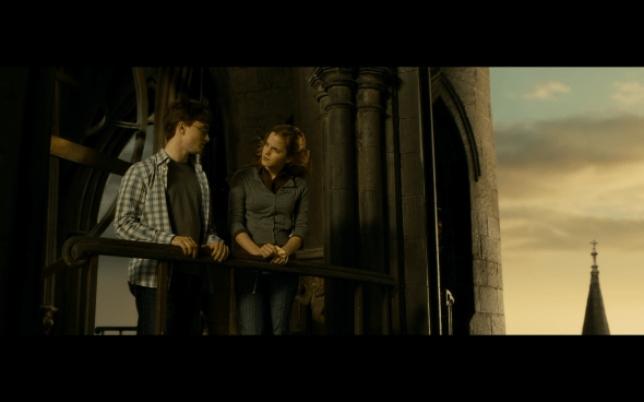 Harry Potter and the Half-Blood Prince - 1316