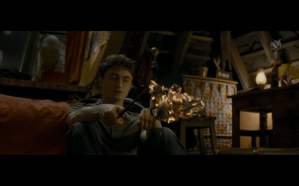 Harry Potter and the Half-Blood Prince - 137