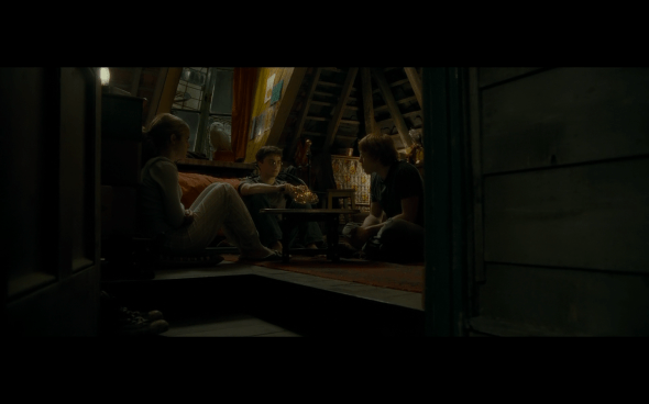 Harry Potter and the Half-Blood Prince - 139