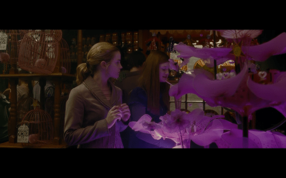 Harry Potter and the Half-Blood Prince - 183