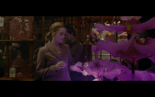 Harry Potter and the Half-Blood Prince - 186