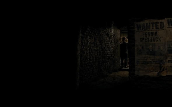 Harry Potter and the Half-Blood Prince - 201