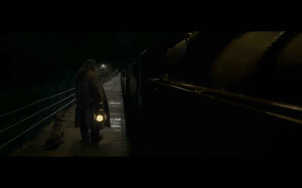 Harry Potter and the Half-Blood Prince - 231